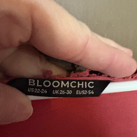 BloomChick Dusty Rose Shirt with Lace Sleeves Lace Sleeves. - Picture 2 of 6